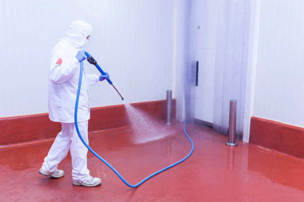 Best Graffiti Removal  in Fountain Hill, PA