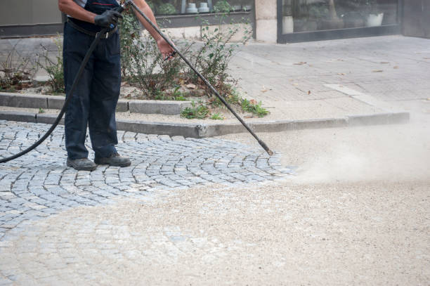 Animal Enclosure Cleaning in Fountain Hill, PA